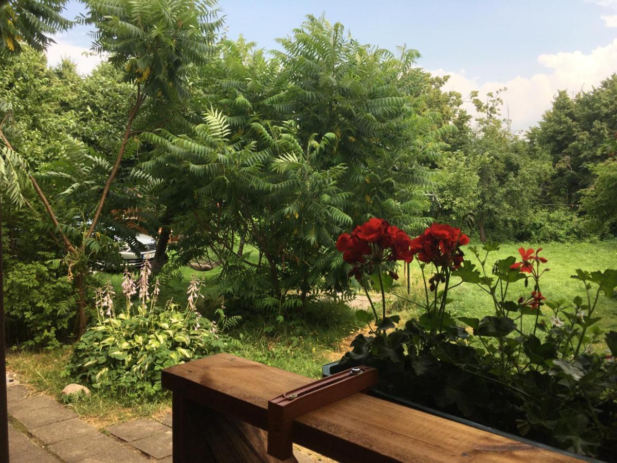 Poilsiaviete Vita Šventoji Buitenkant foto